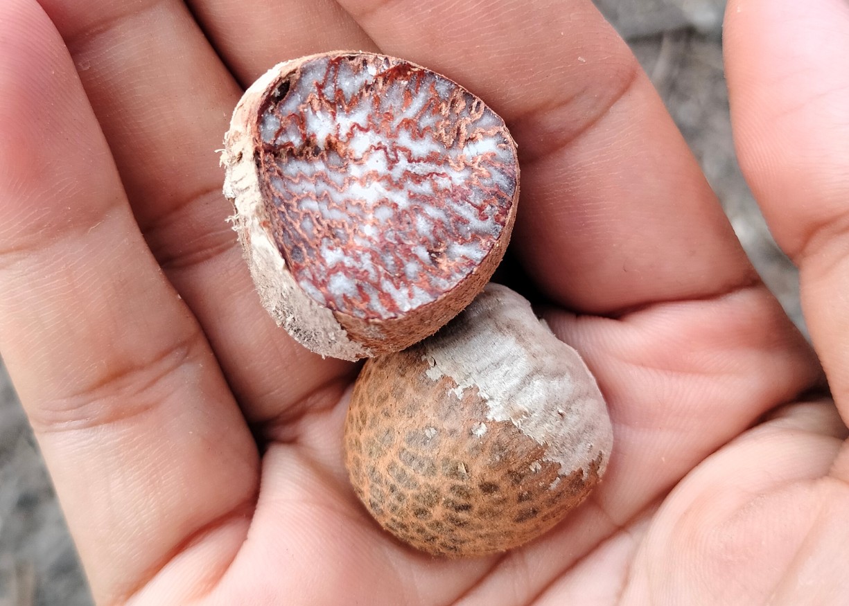 Gemilang Cahaya Putri Photo Product 6