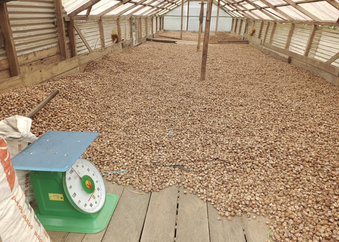 WhatsApp Image 2025-07-16 at 19.54.03